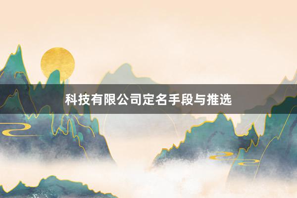 科技有限公司定名手段与推选