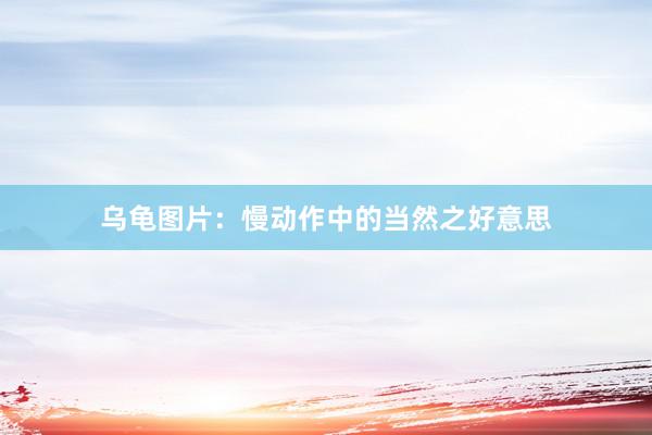 乌龟图片：慢动作中的当然之好意思