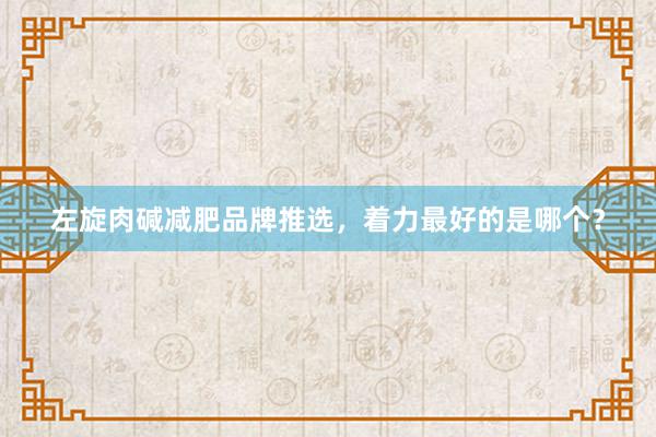 左旋肉碱减肥品牌推选，着力最好的是哪个？
